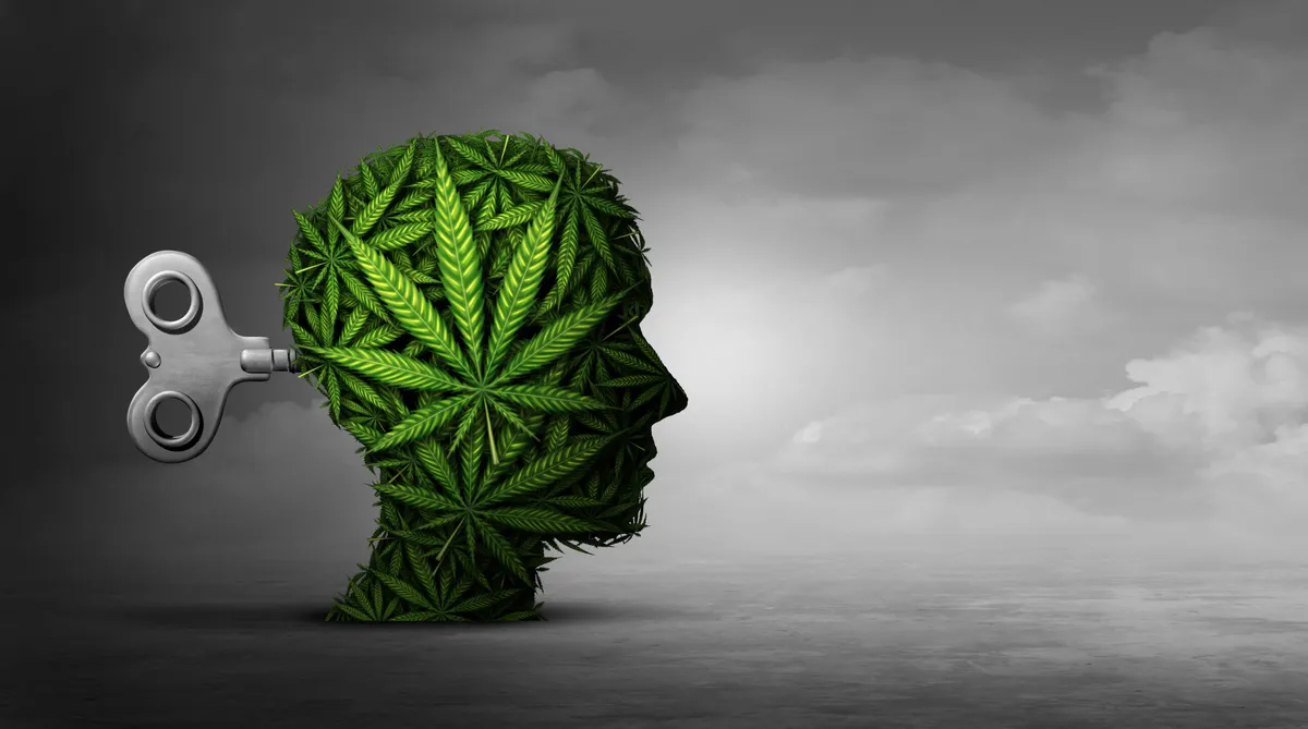 The Link Between Cannabis Use Disorder and Mental Illness