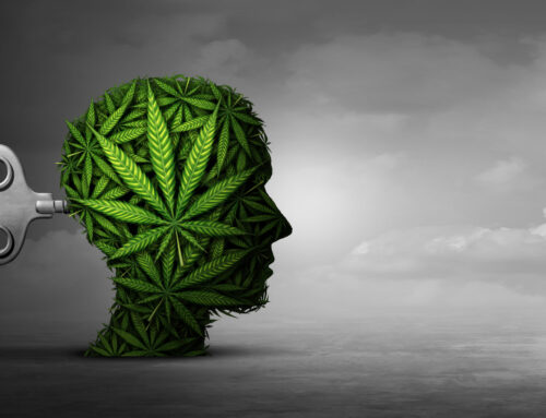 Cannabis Use Disorder and Mental Health: What You Need to Know