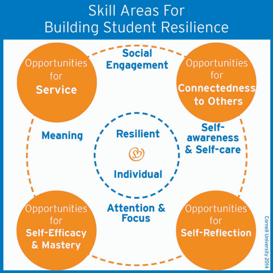Skill Areas For Building Student Resilience